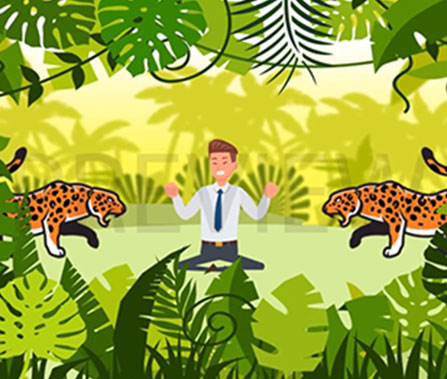 Video Animation